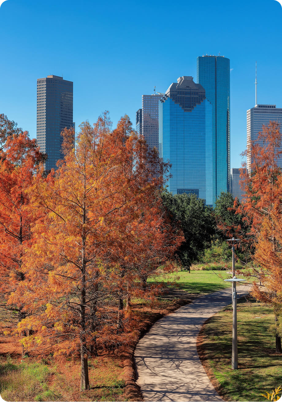 Breast Cancer Care In The Woodlands And Houston